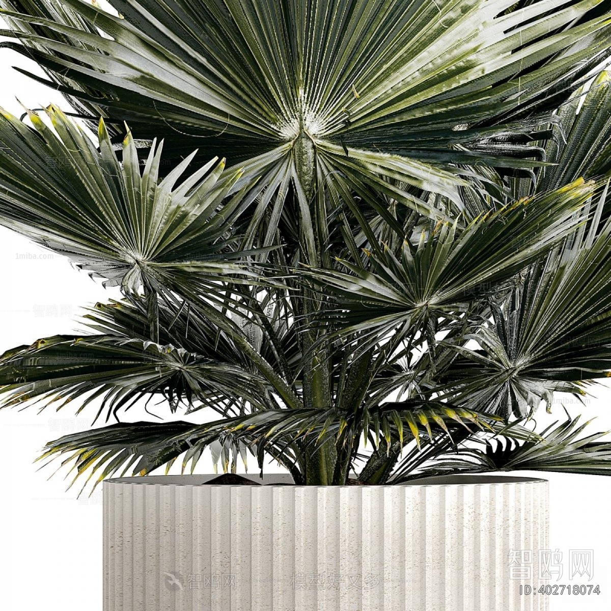 Modern Ground Green Plant Potted Plants
