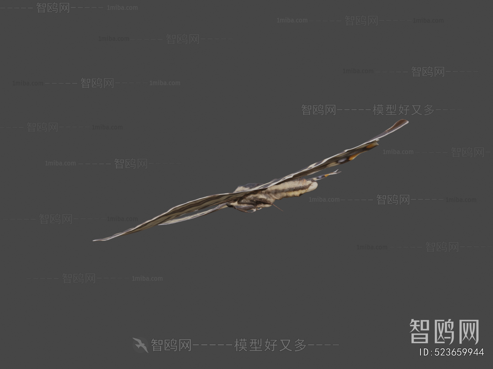 Modern Flying Animals