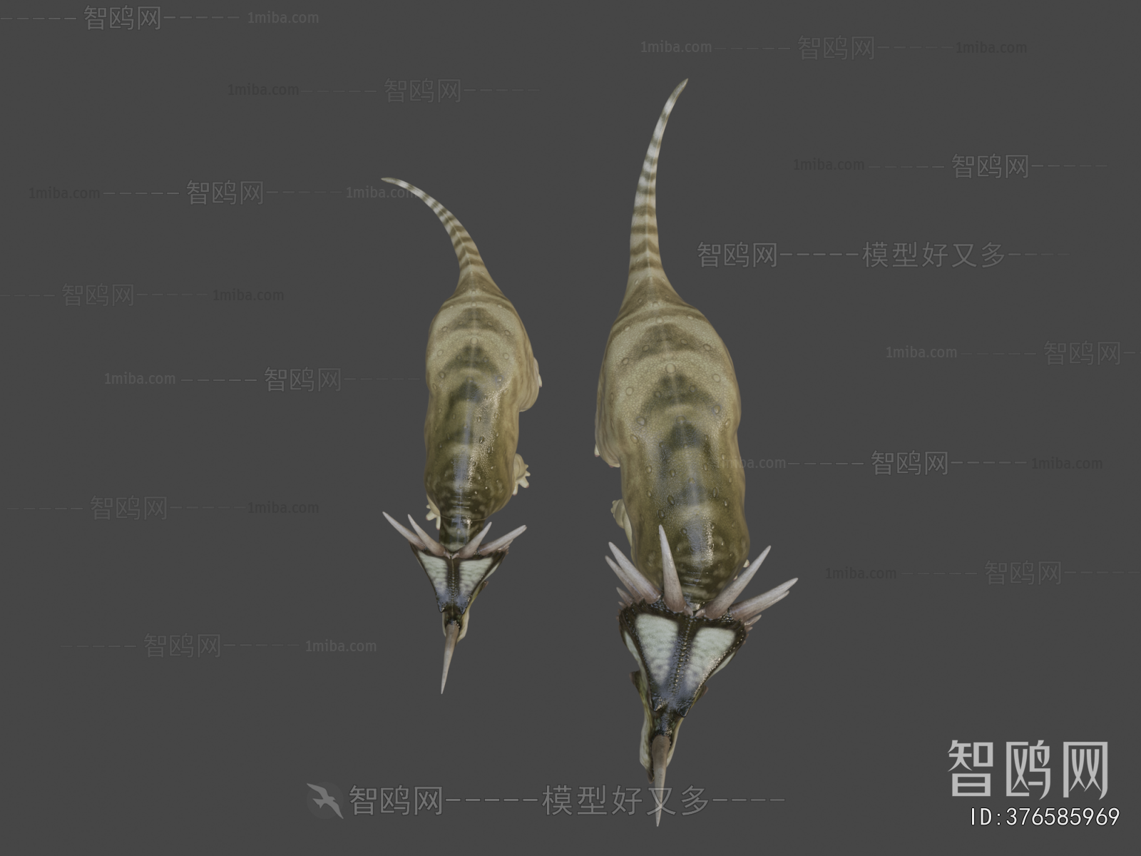 Modern Other Animals