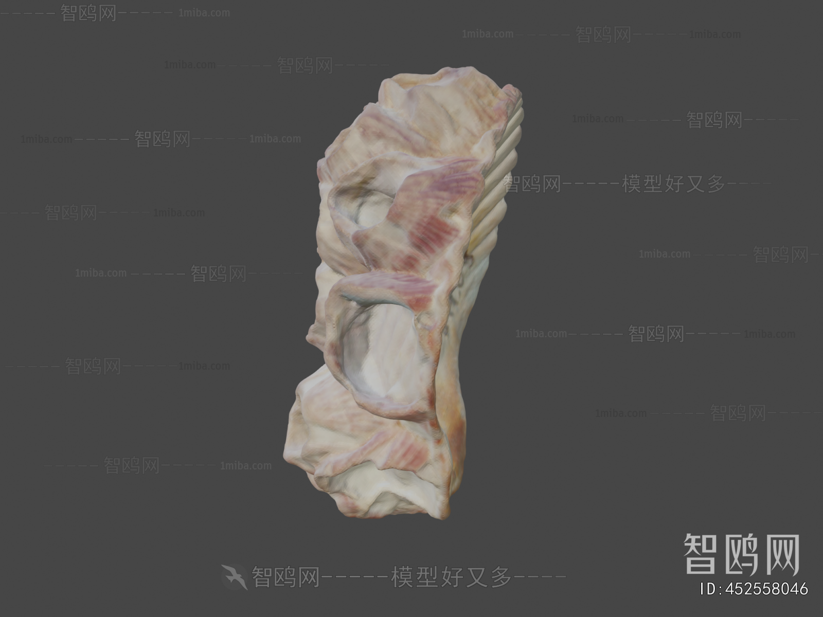 Modern Aquatic Animals