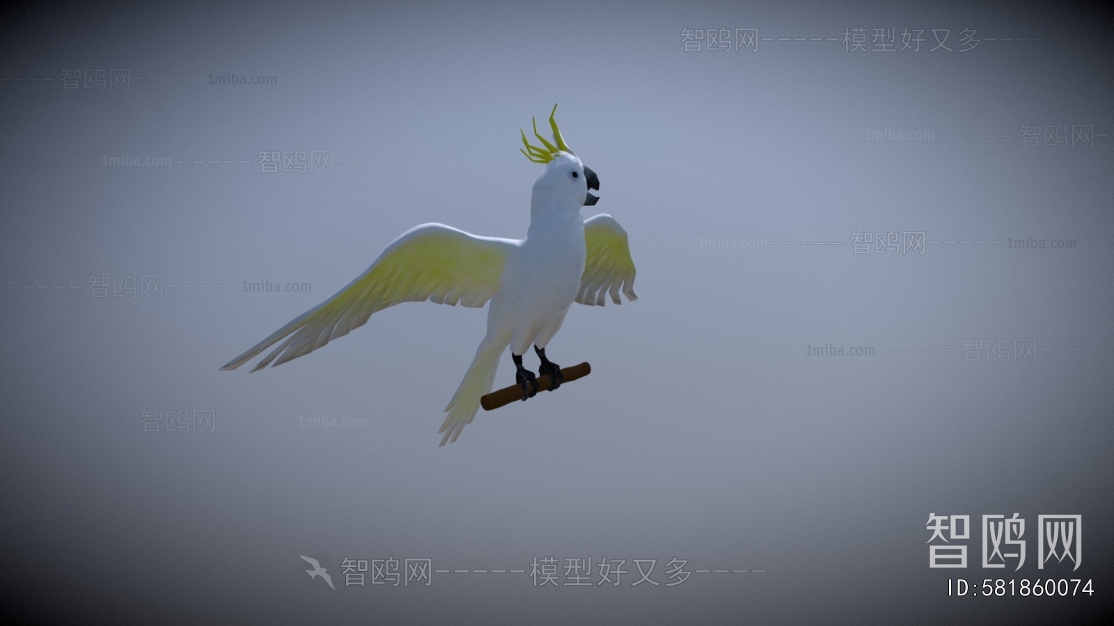 Modern Flying Animals