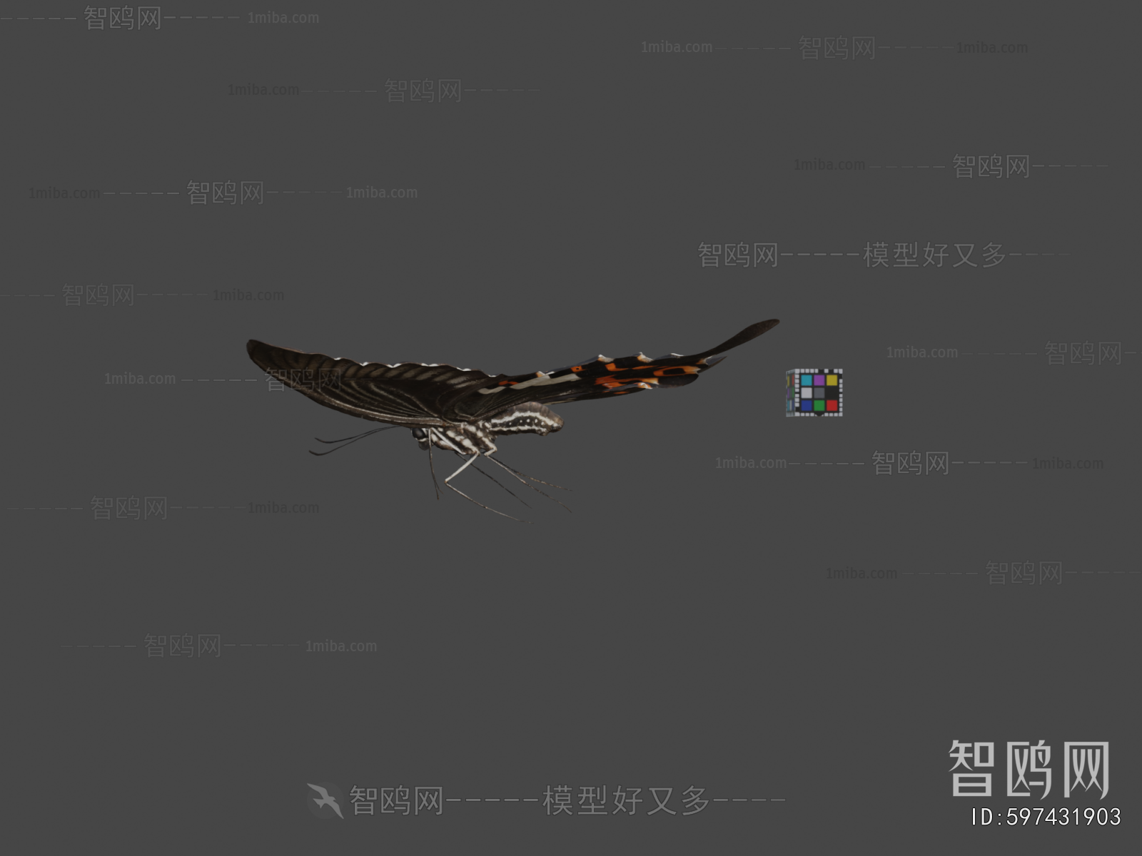 Modern Flying Animals