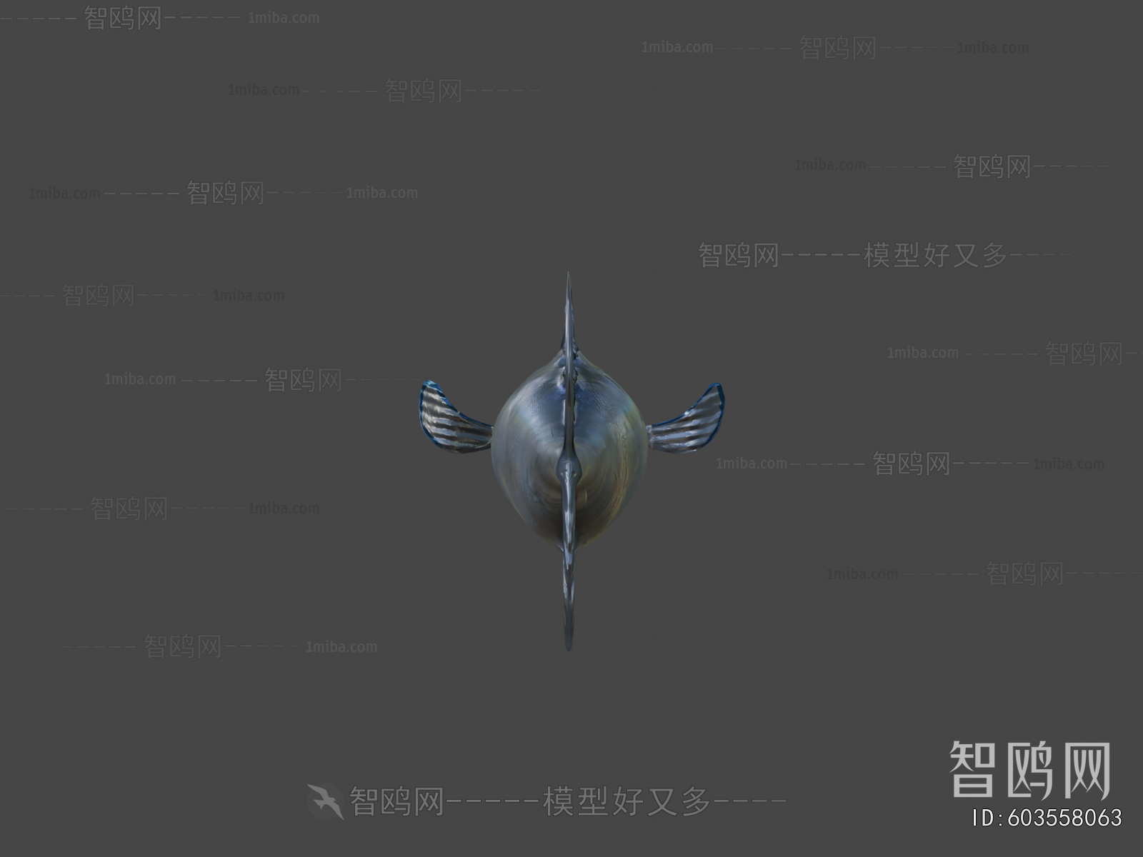 Modern Aquatic Animals