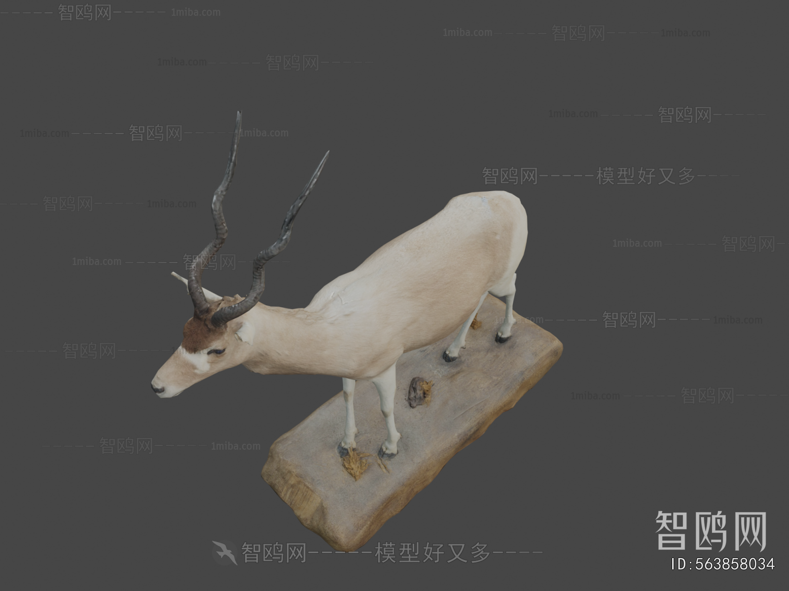 Modern Mammal