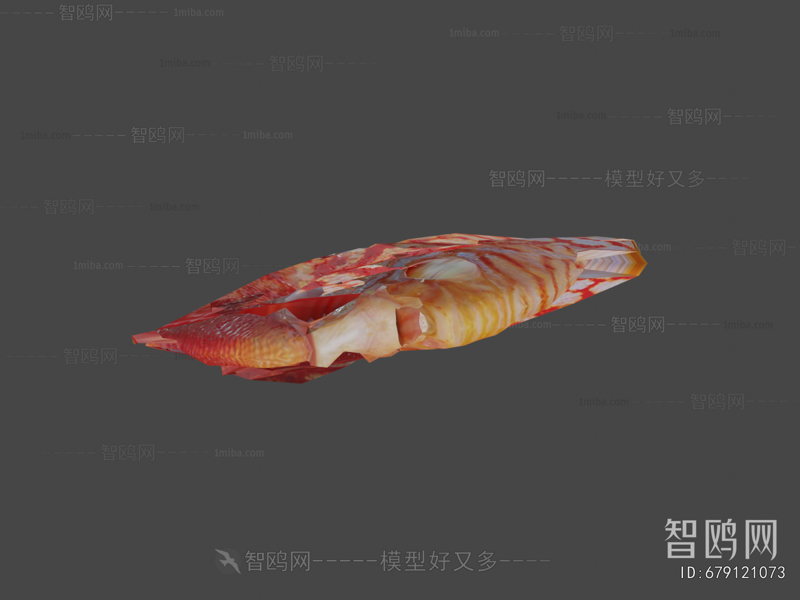 Modern Aquatic Animals