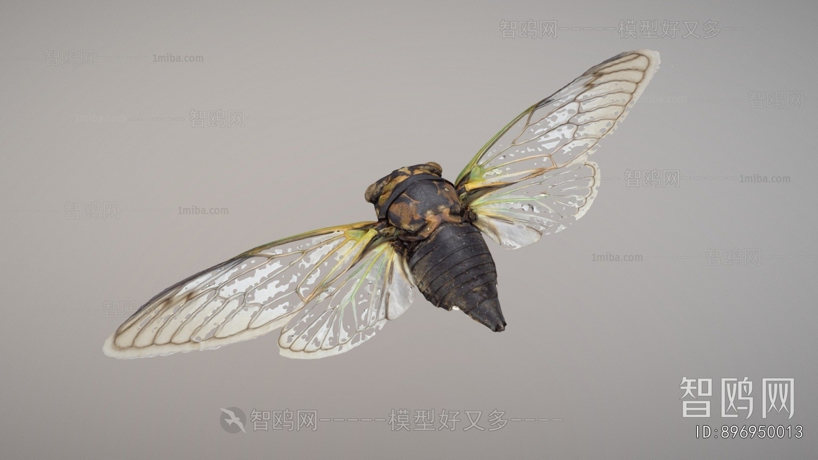 Modern Flying Animals