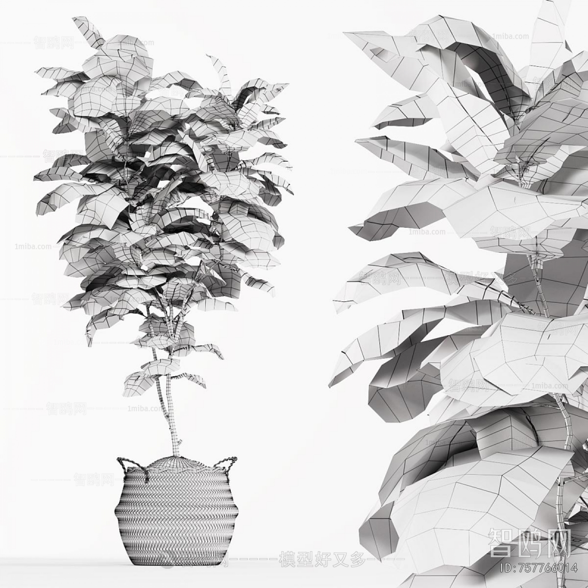 Modern Ground Green Plant Potted Plants