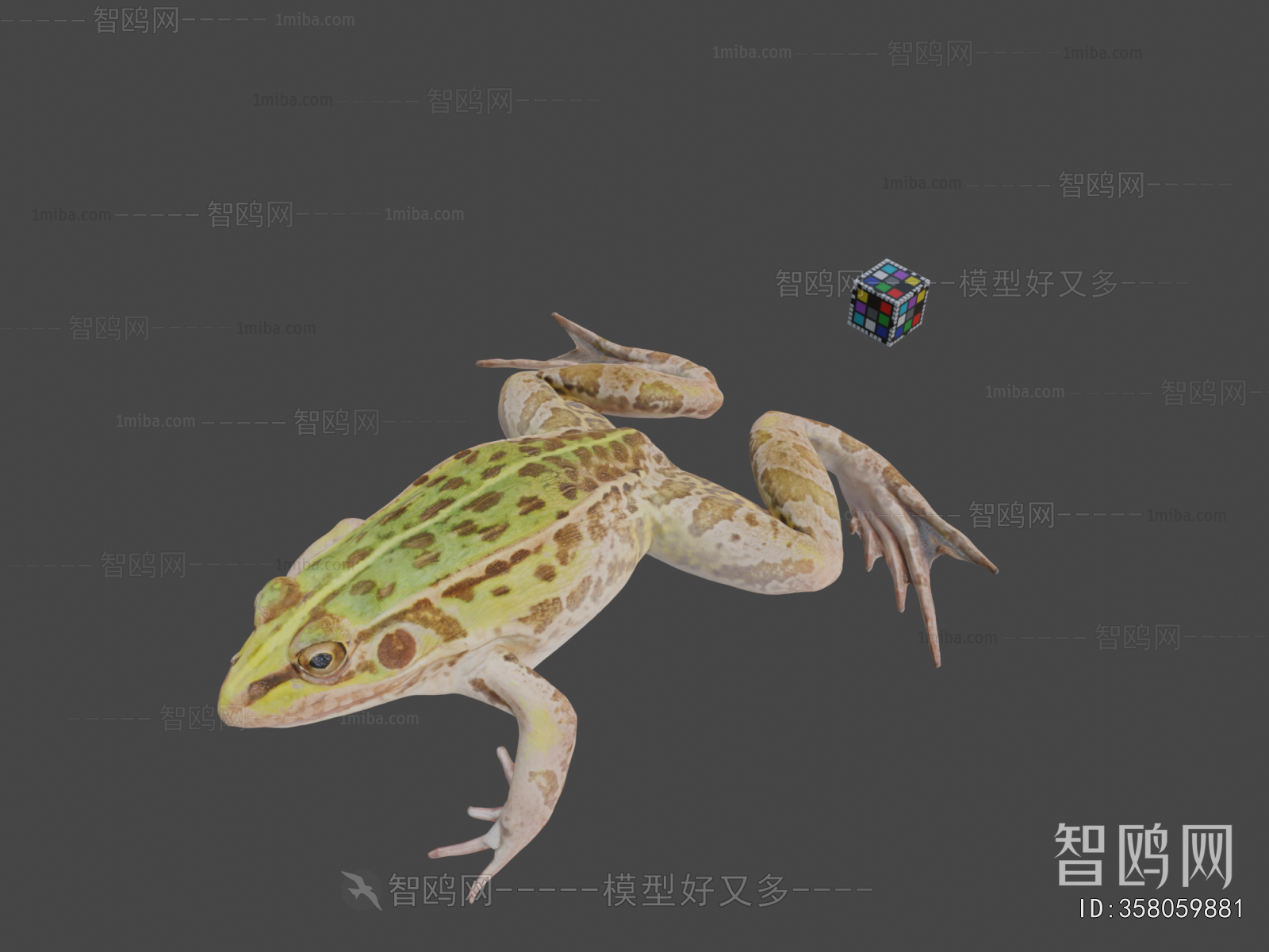 Modern Aquatic Animals