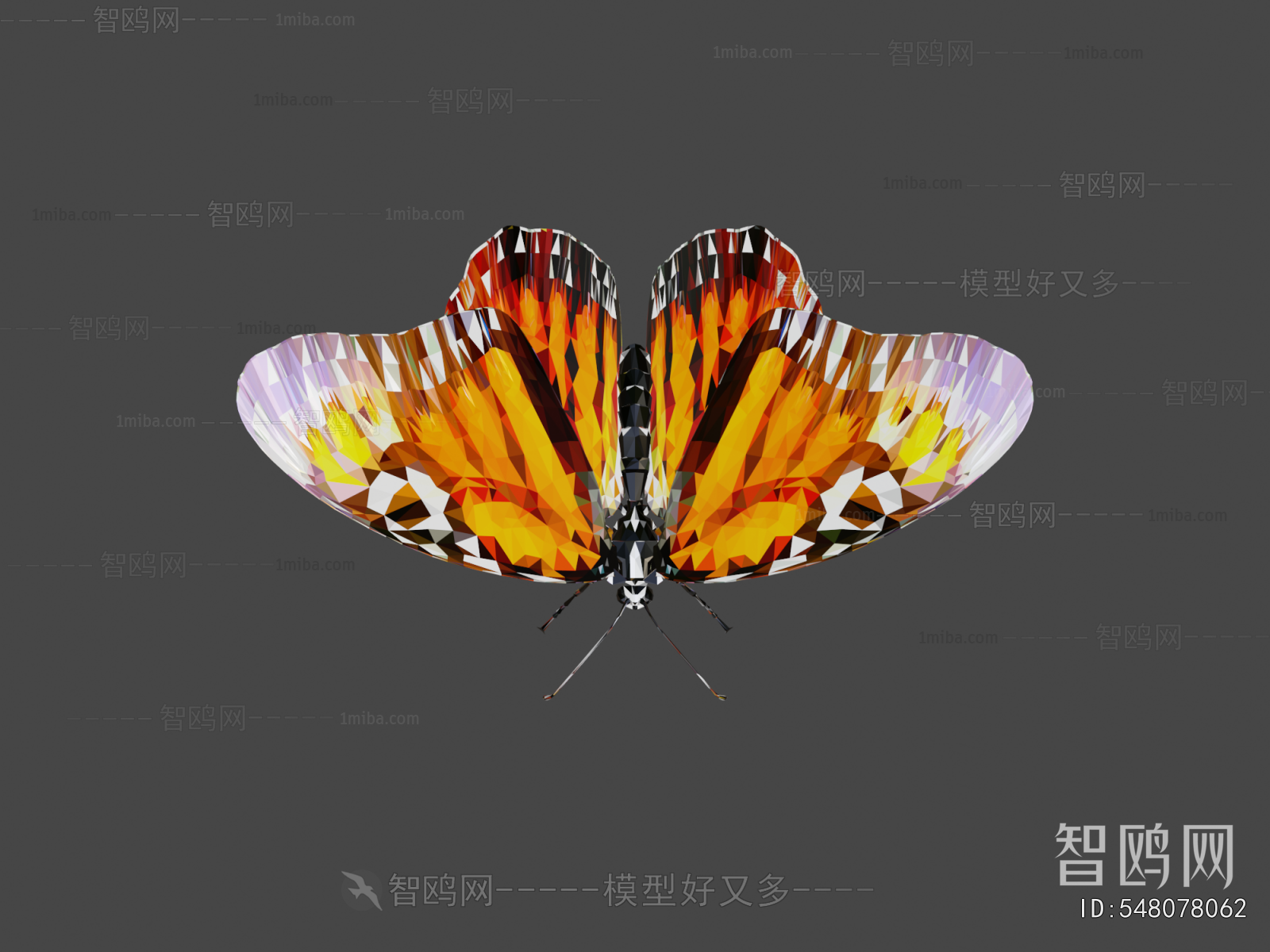 Modern Flying Animals