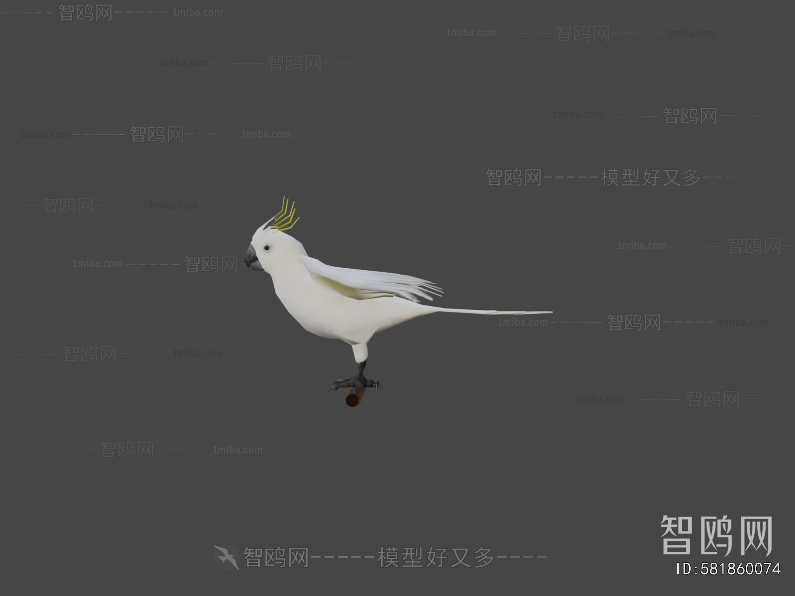 Modern Flying Animals