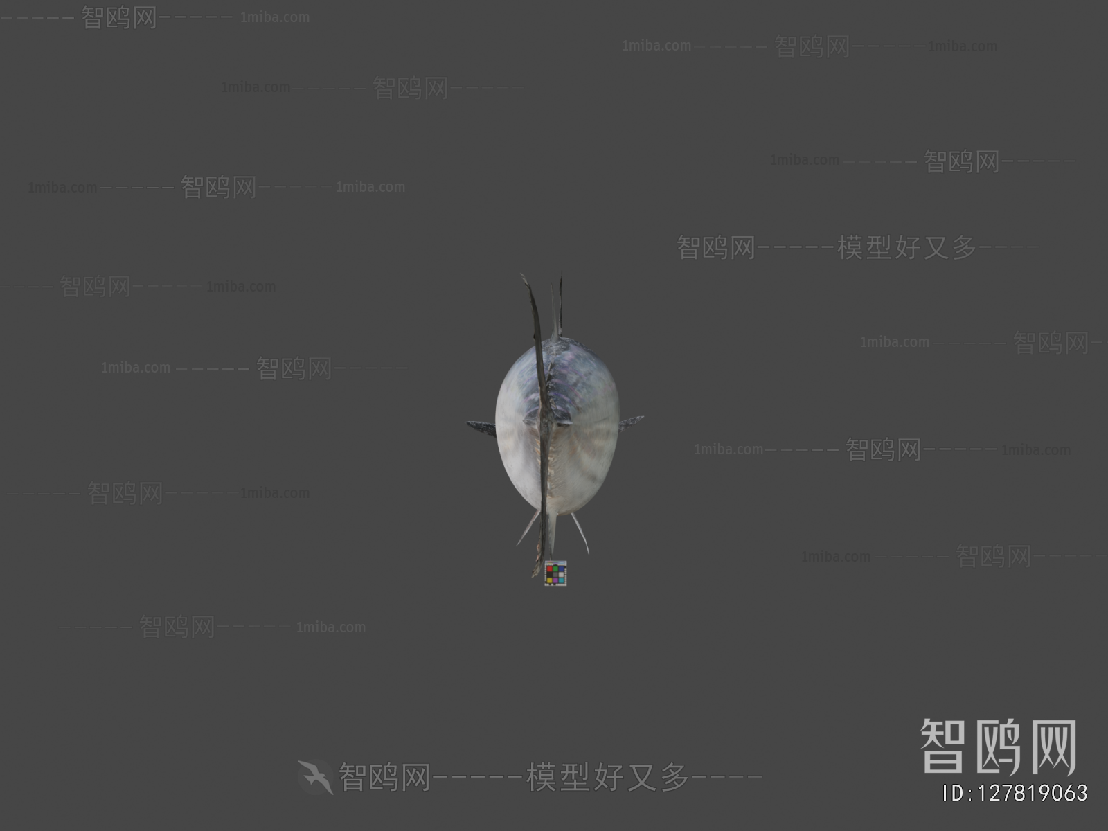 Modern Aquatic Animals