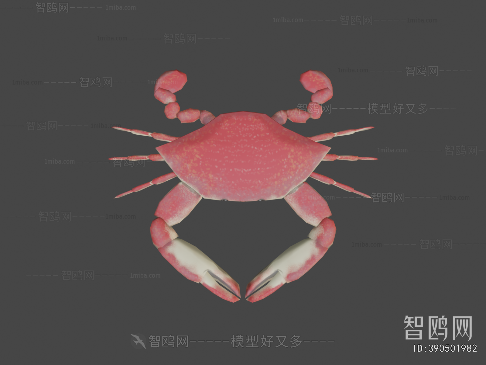 Modern Aquatic Animals