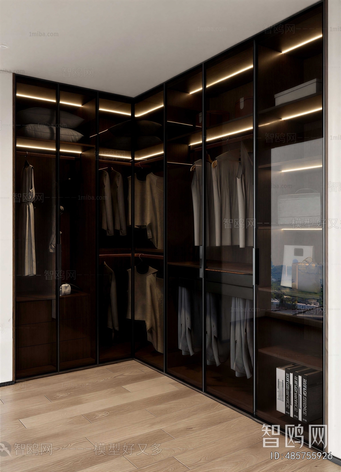 Modern Clothes Storage Area