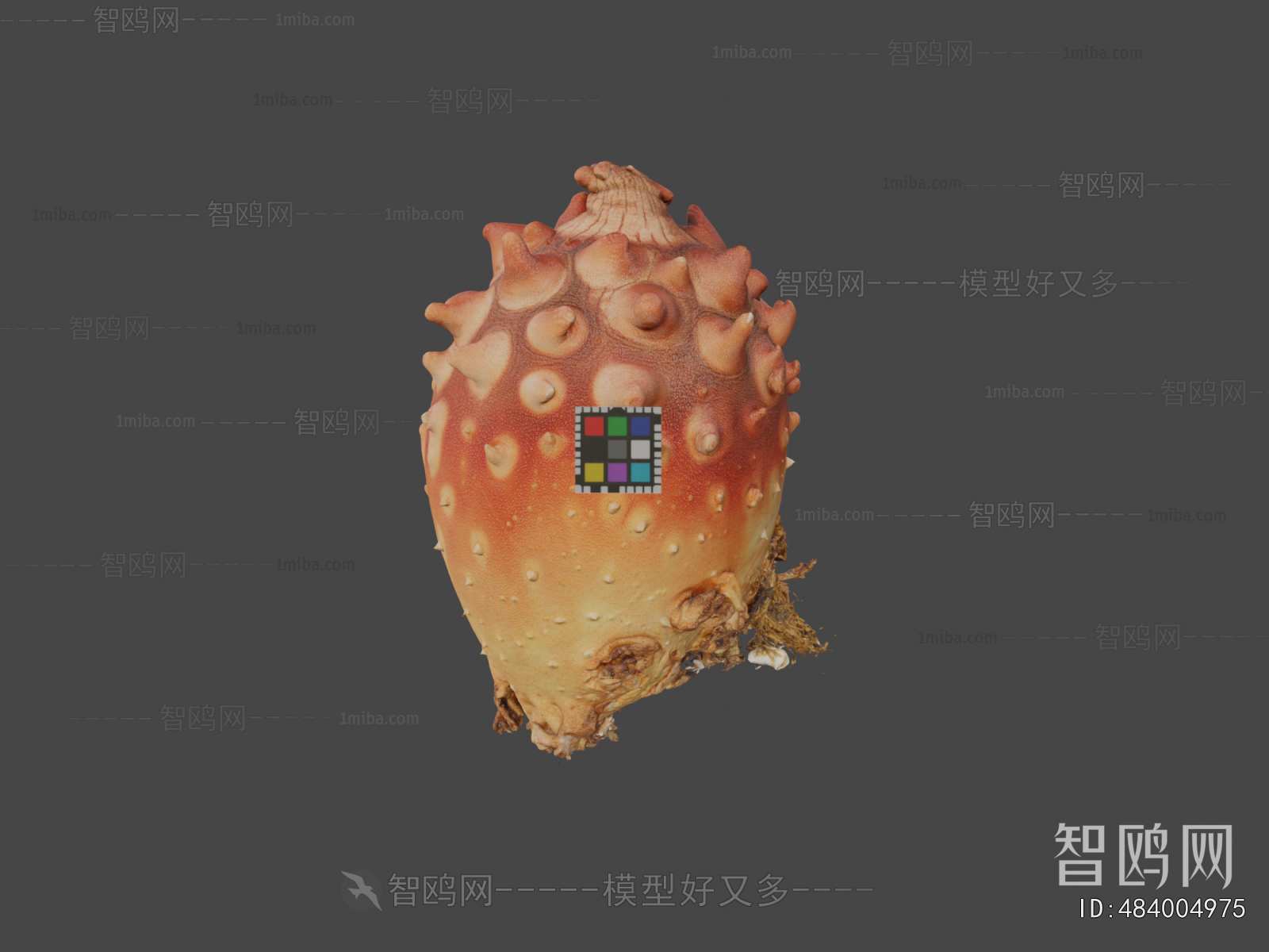 Modern Aquatic Animals