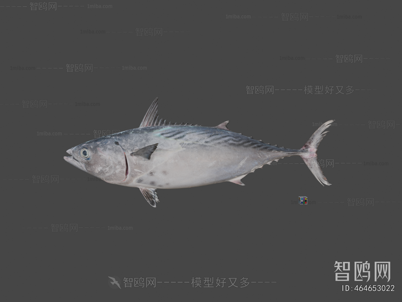 Modern Aquatic Animals