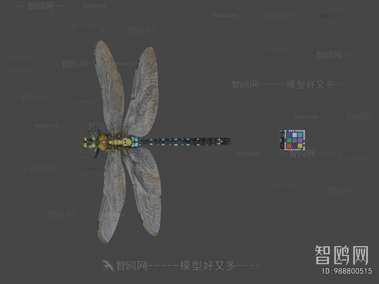 Modern Flying Animals