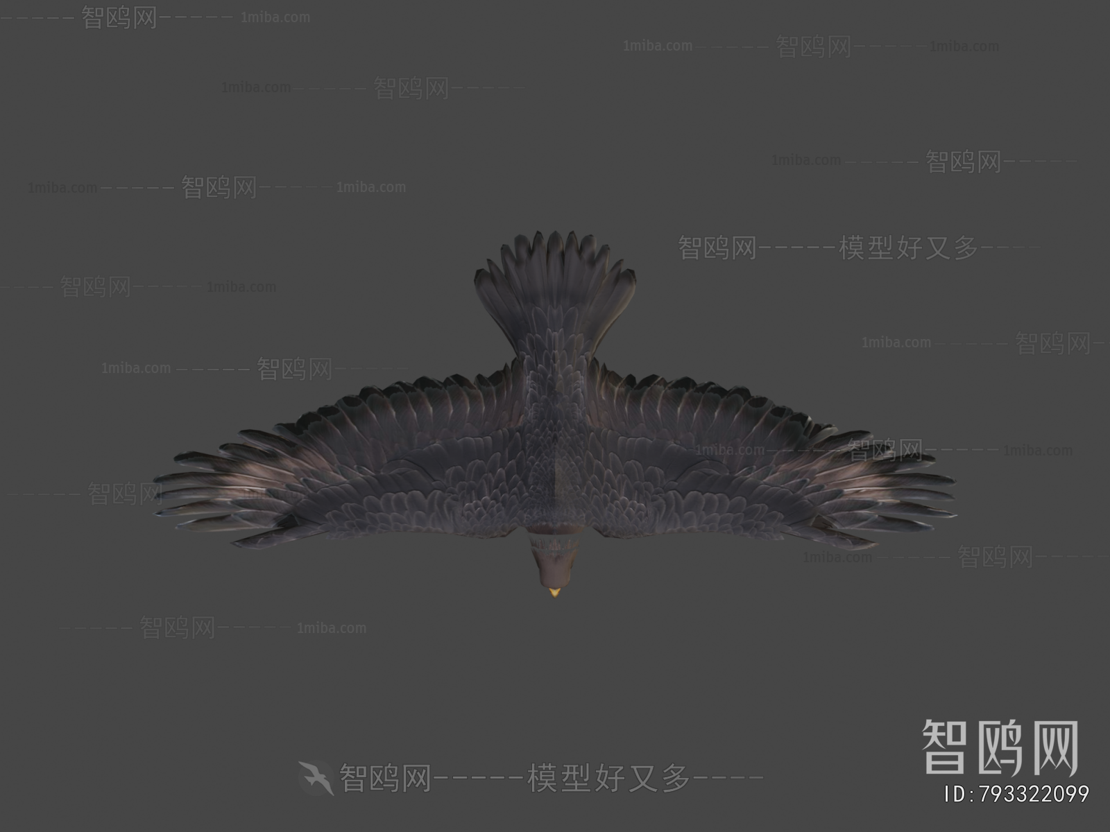 Modern Flying Animals