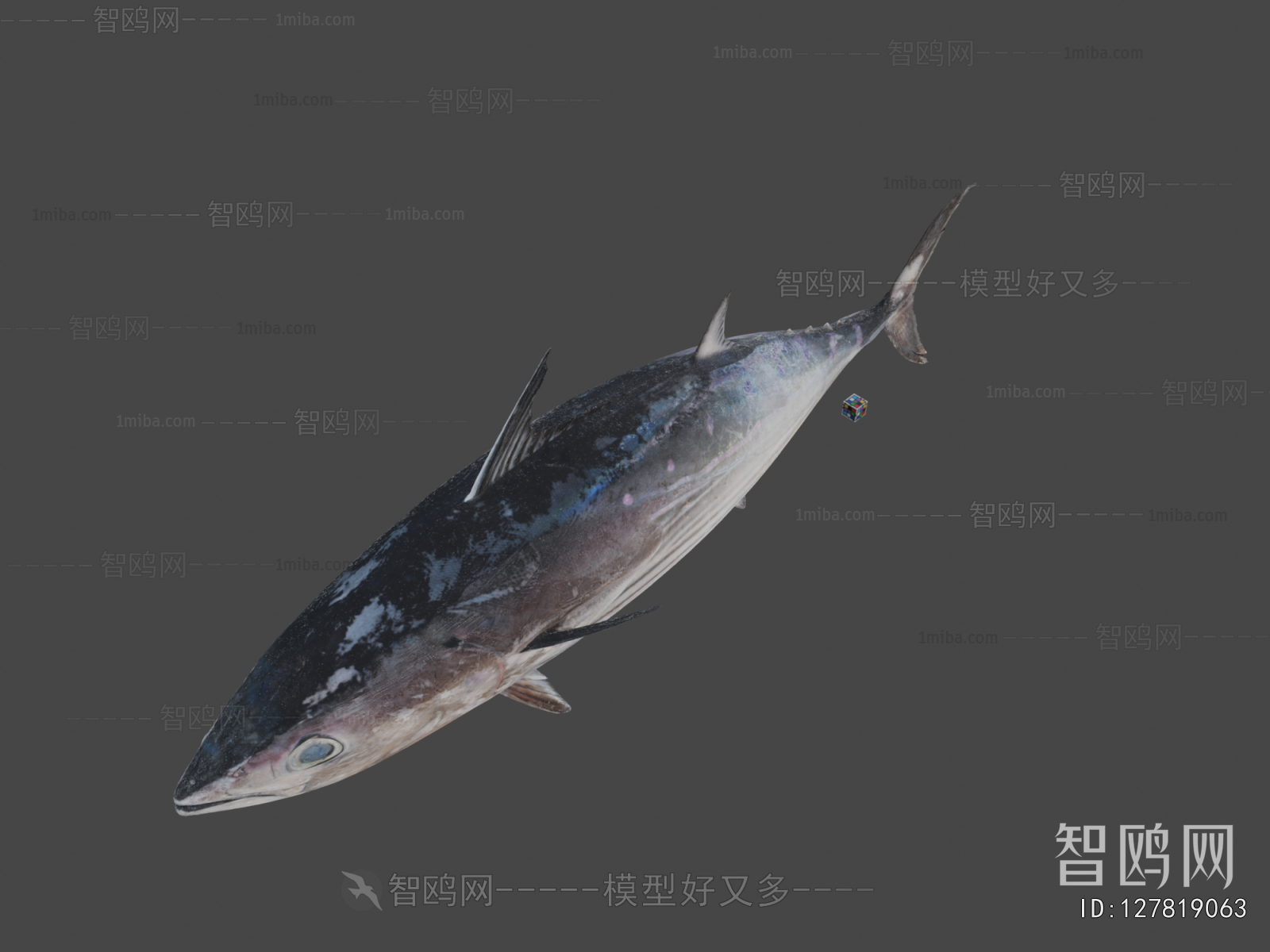Modern Aquatic Animals