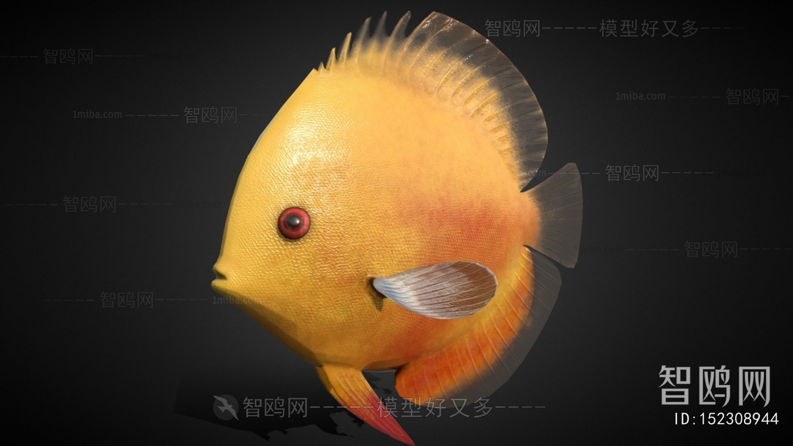 Modern Aquatic Animals