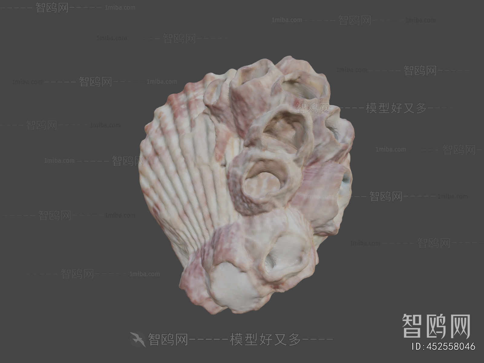 Modern Aquatic Animals