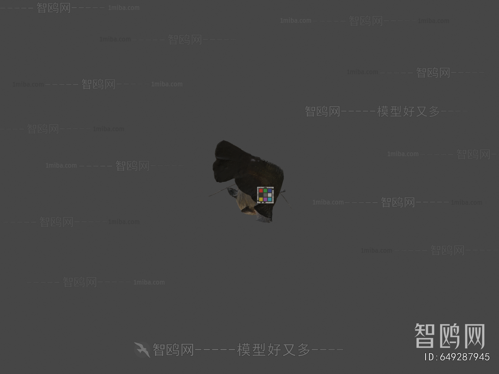 Modern Aquatic Animals