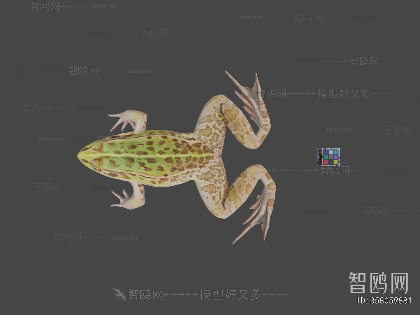 Modern Aquatic Animals