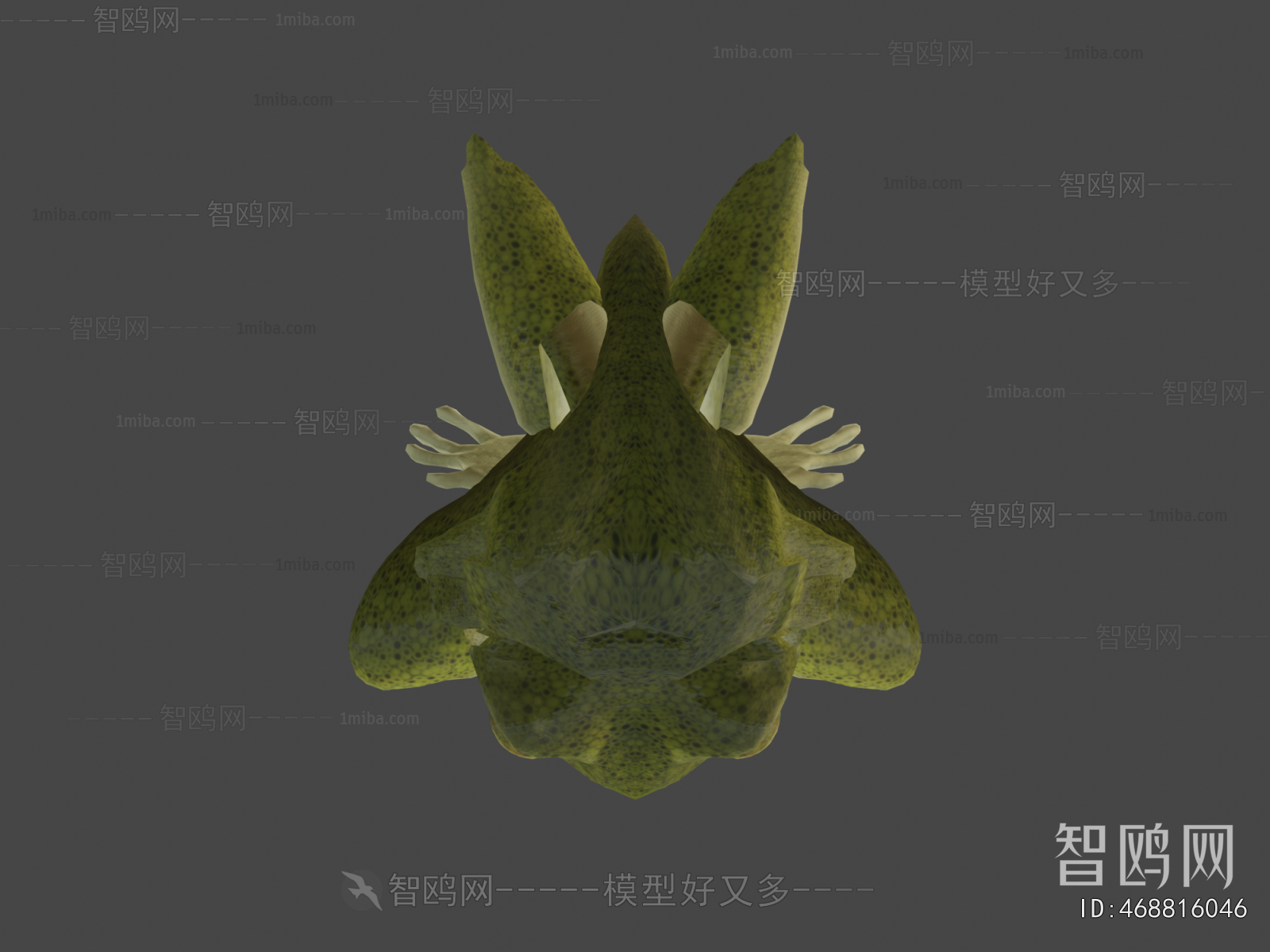 Modern Aquatic Animals