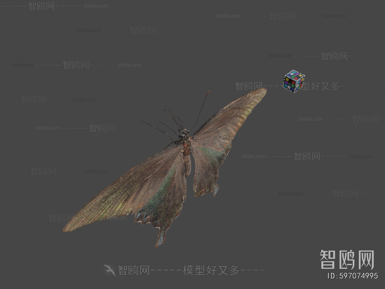 Modern Flying Animals