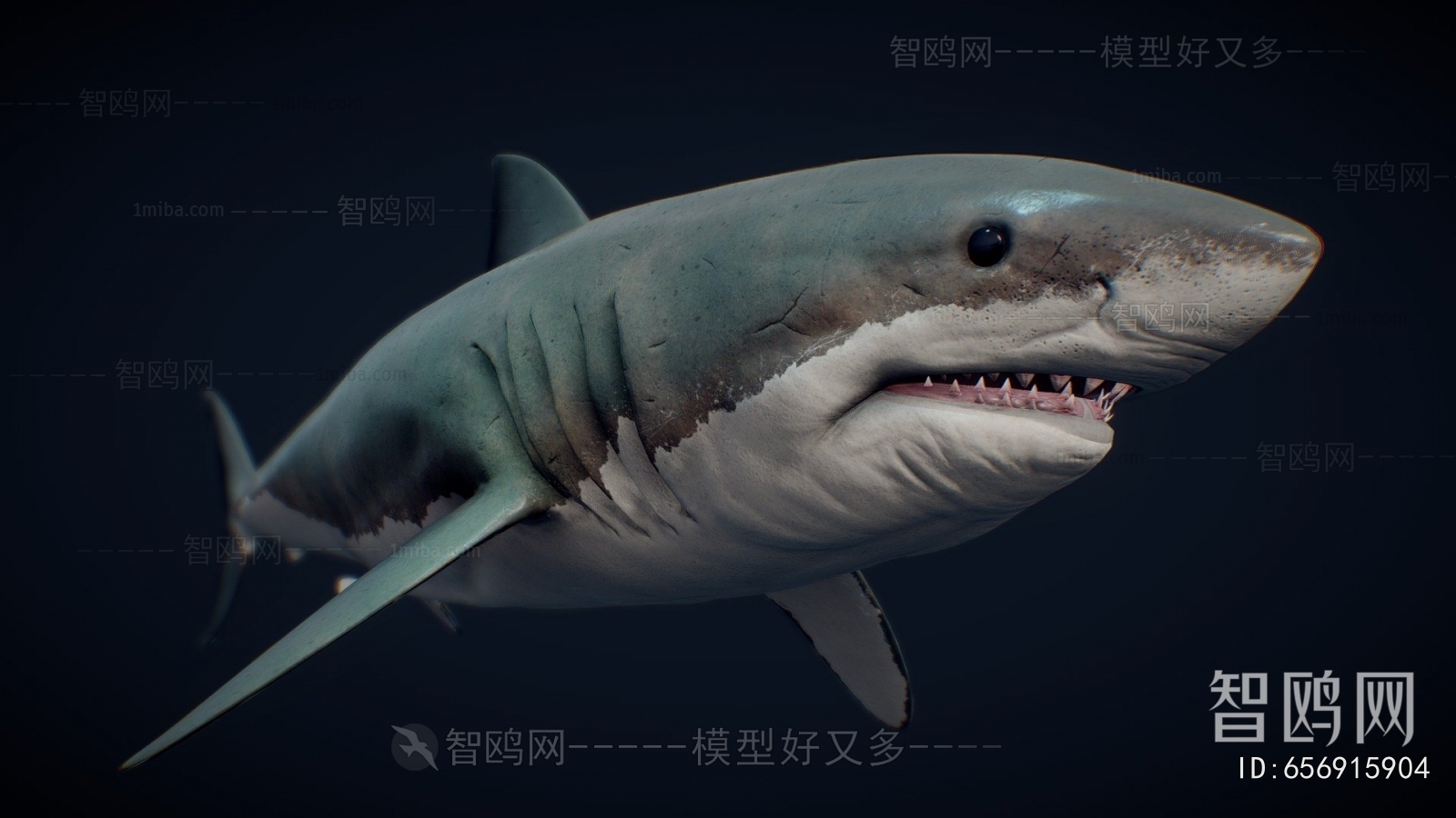 Modern Aquatic Animals