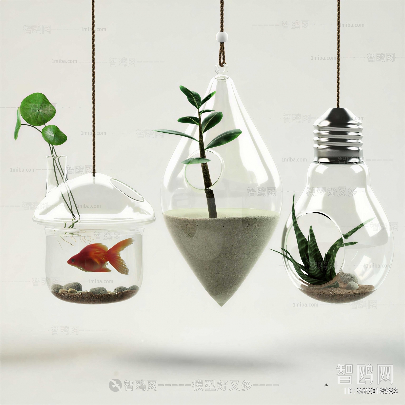 Modern Chlorophytum Comosum