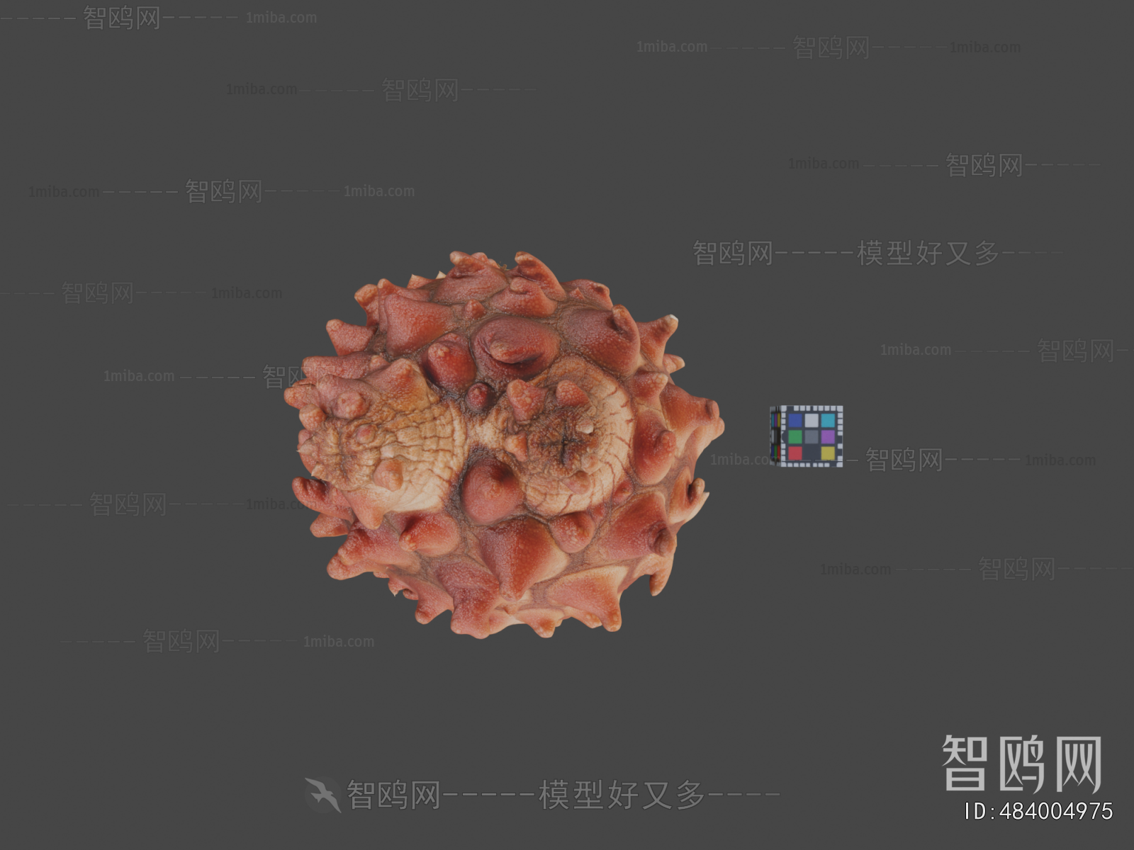 Modern Aquatic Animals