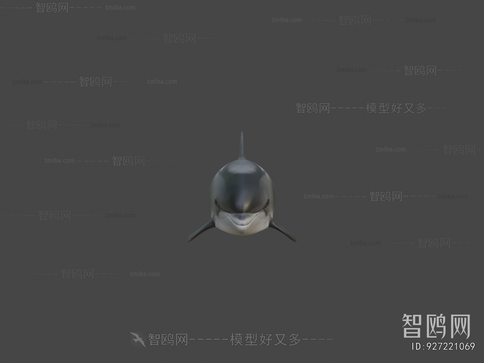 Modern Aquatic Animals