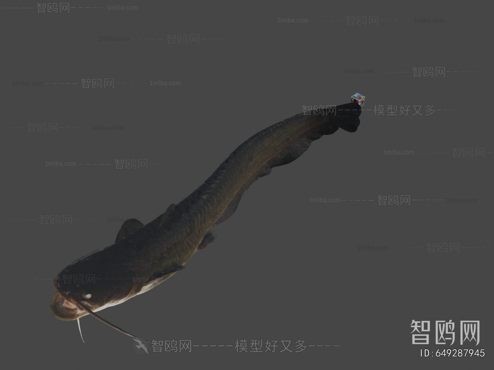 Modern Aquatic Animals