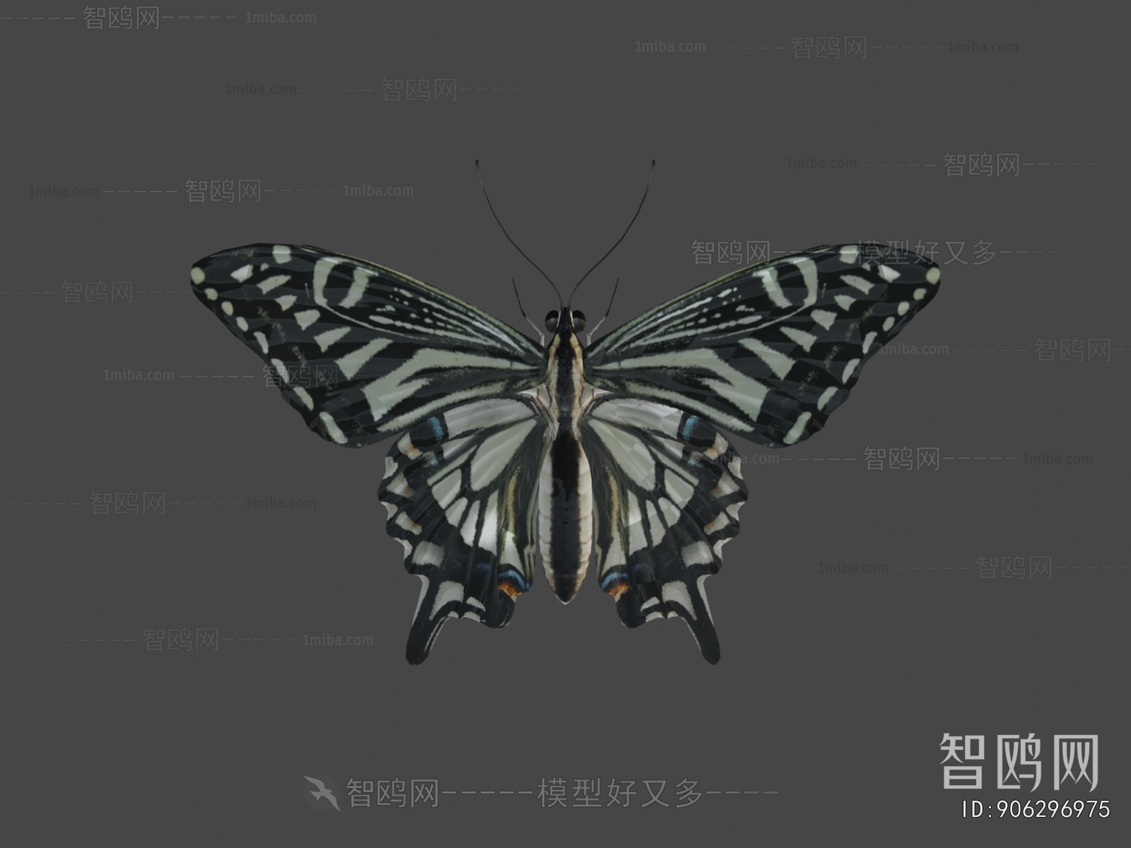 Modern Flying Animals