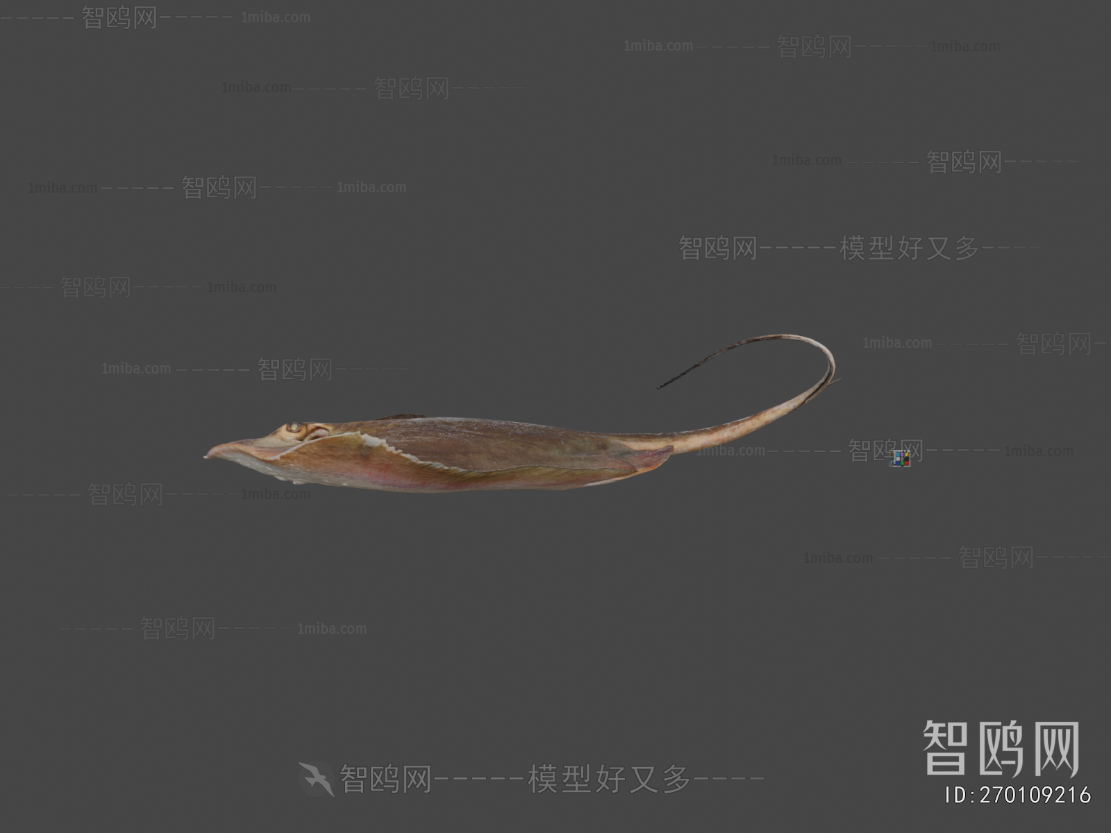 Modern Aquatic Animals