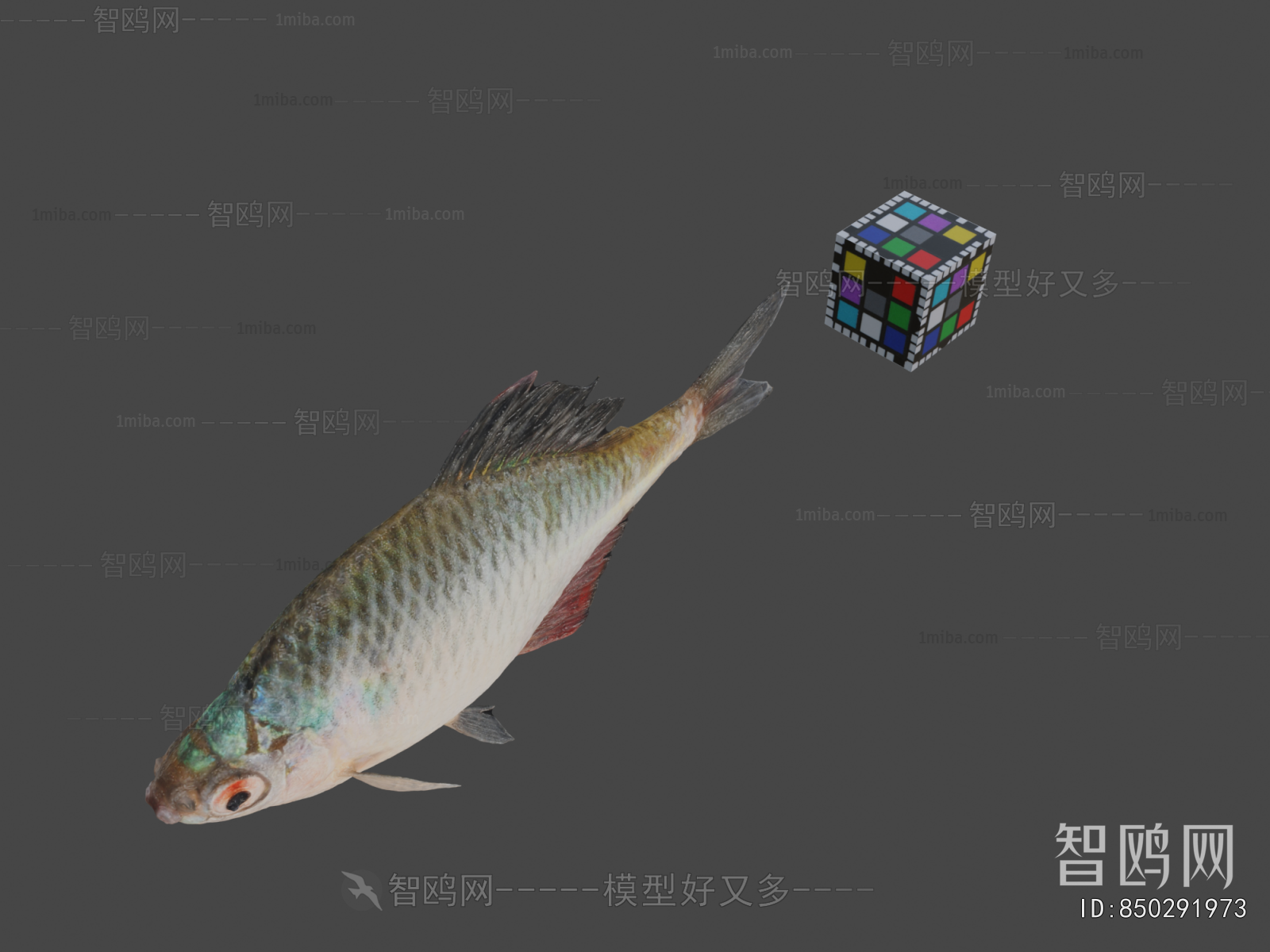 Modern Aquatic Animals