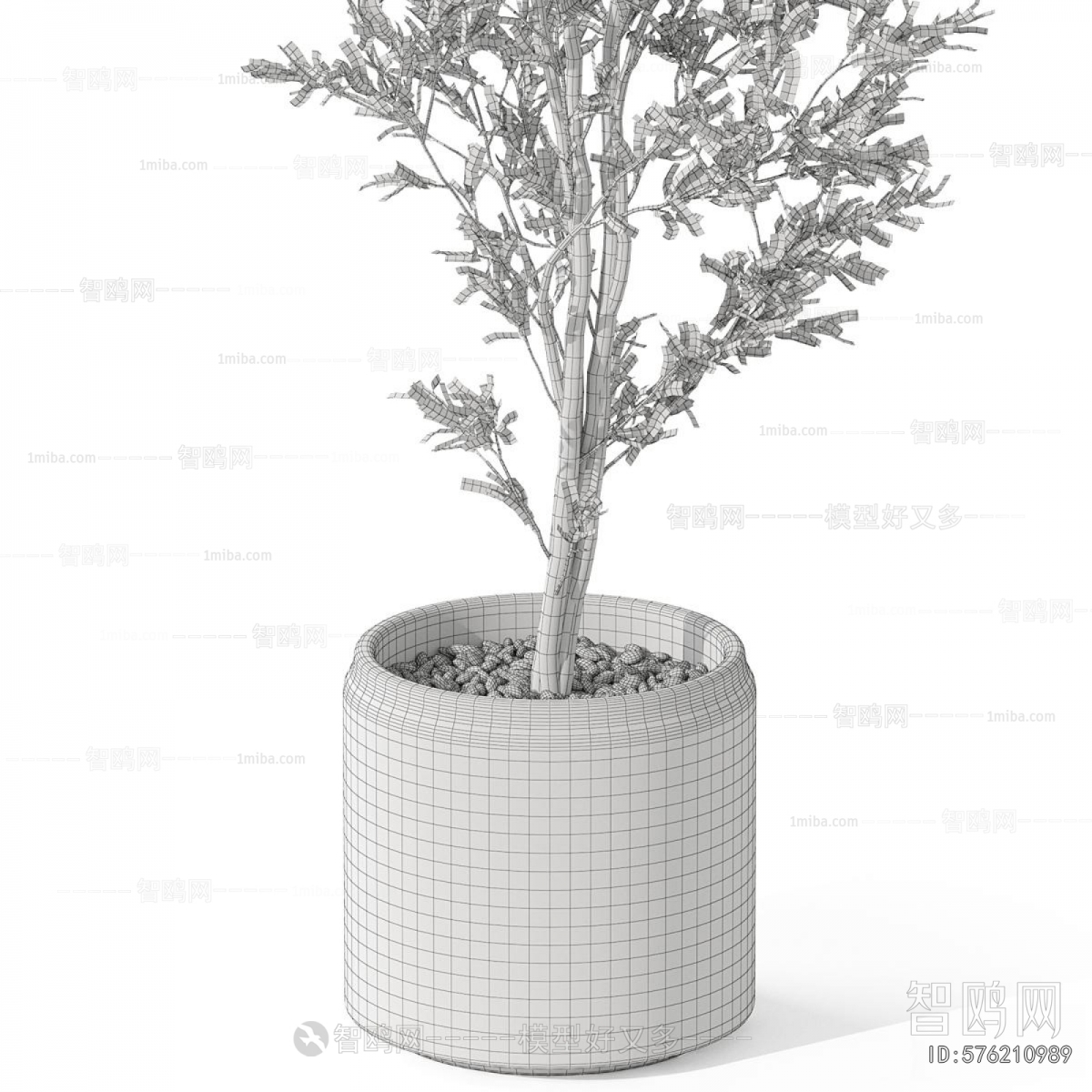 Modern Ground Green Plant Potted Plants