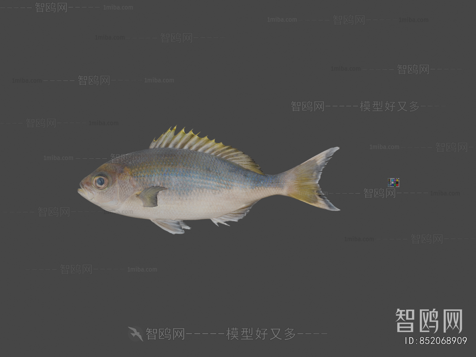 Modern Aquatic Animals