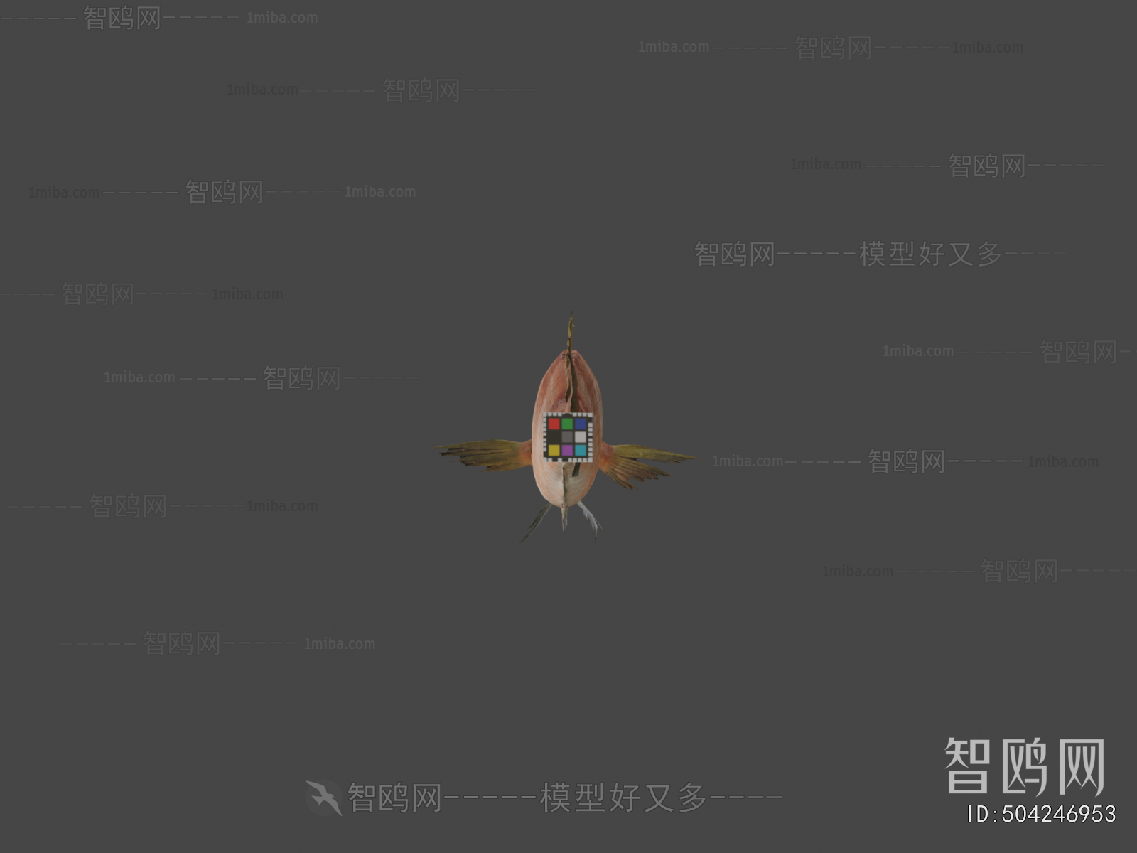 Modern Aquatic Animals