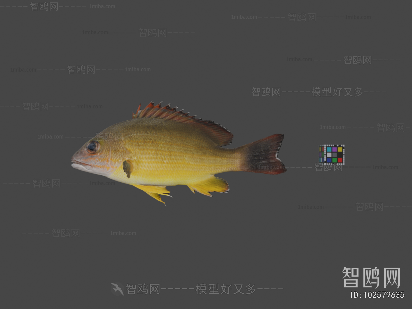 Modern Aquatic Animals