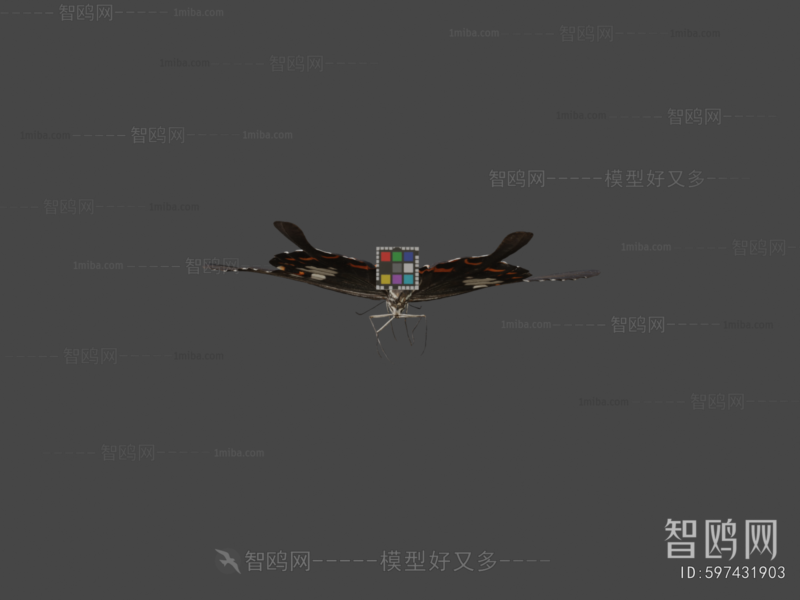 Modern Flying Animals