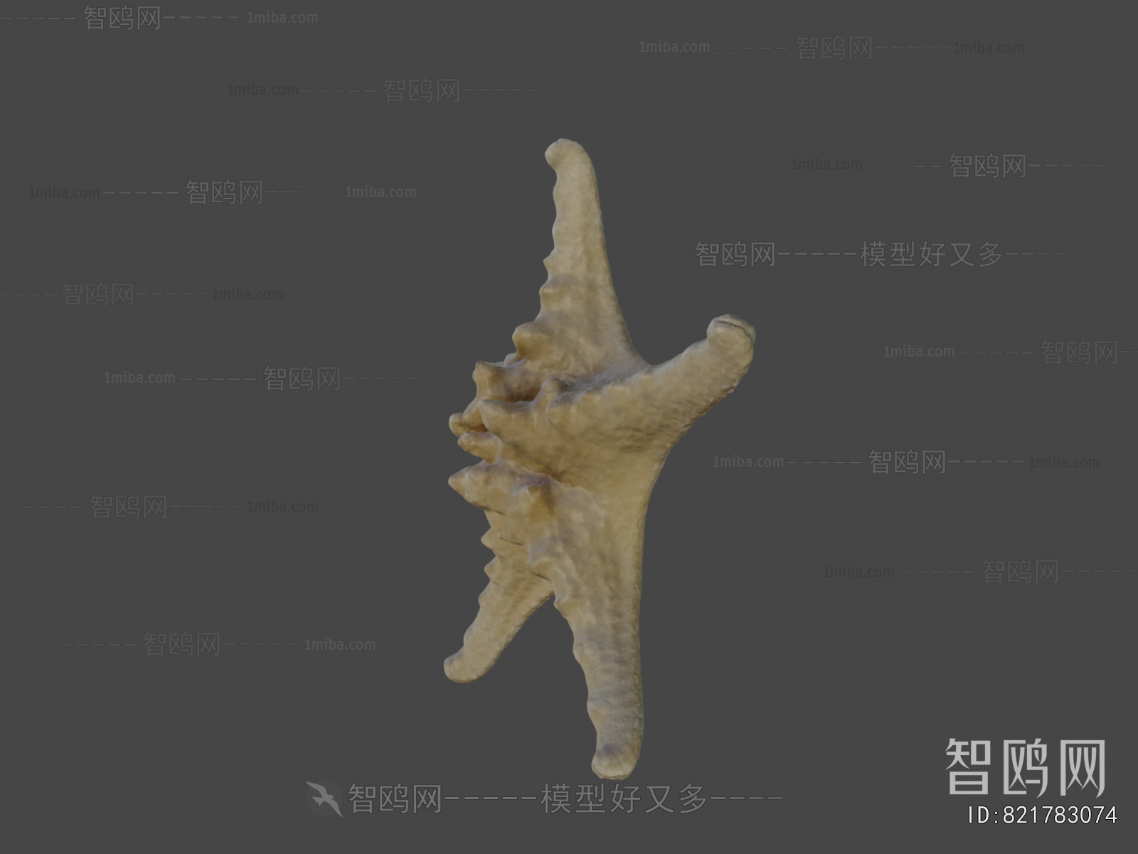 Modern Aquatic Animals