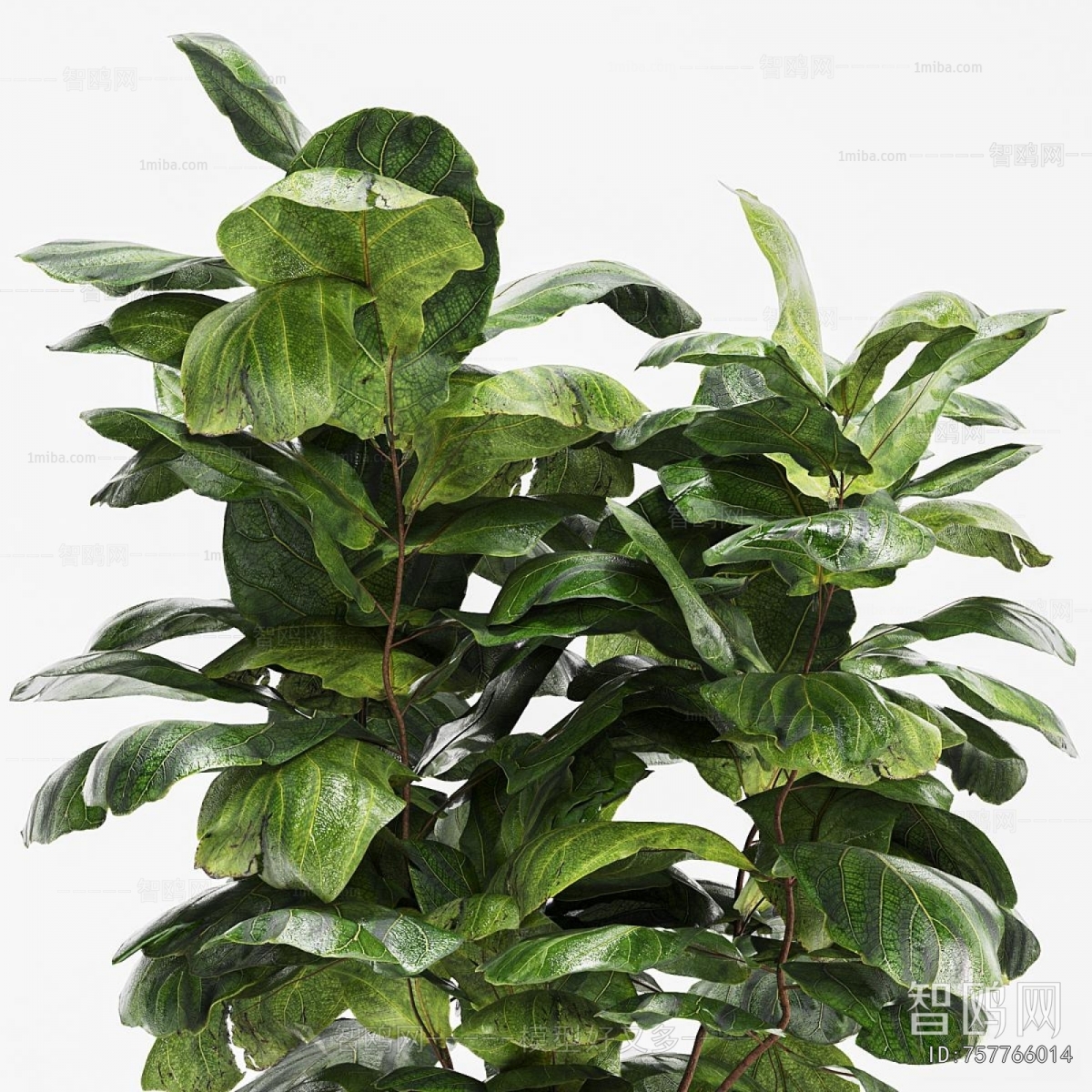 Modern Ground Green Plant Potted Plants