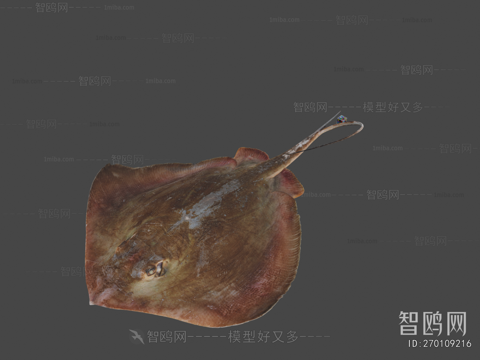 Modern Aquatic Animals