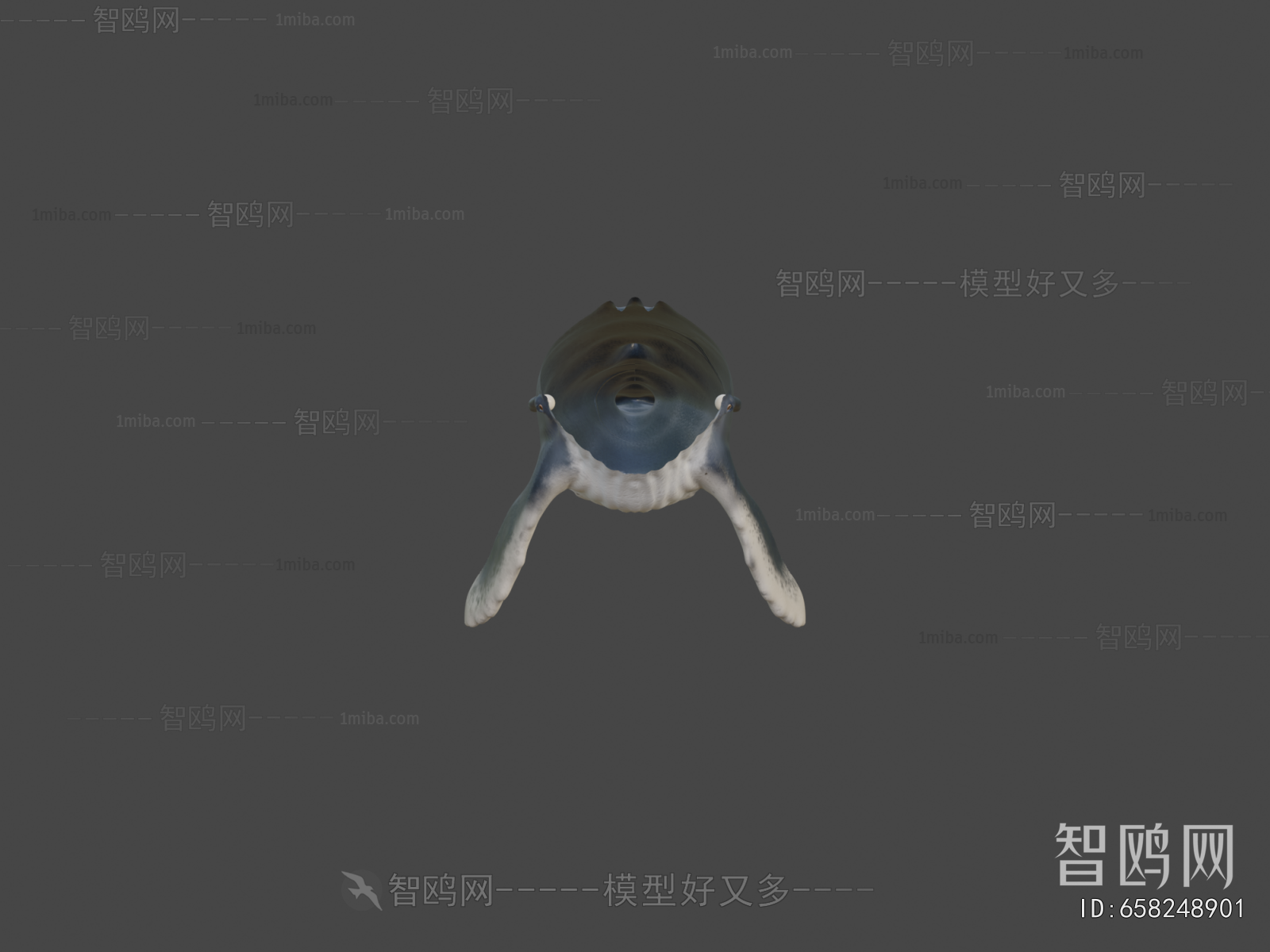 Modern Aquatic Animals