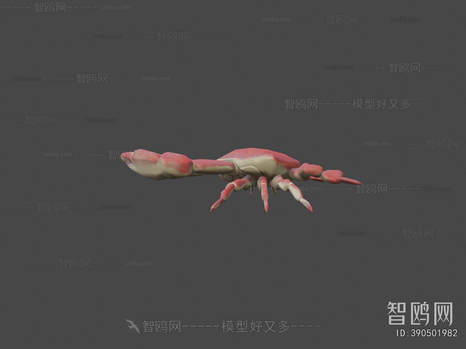 Modern Aquatic Animals