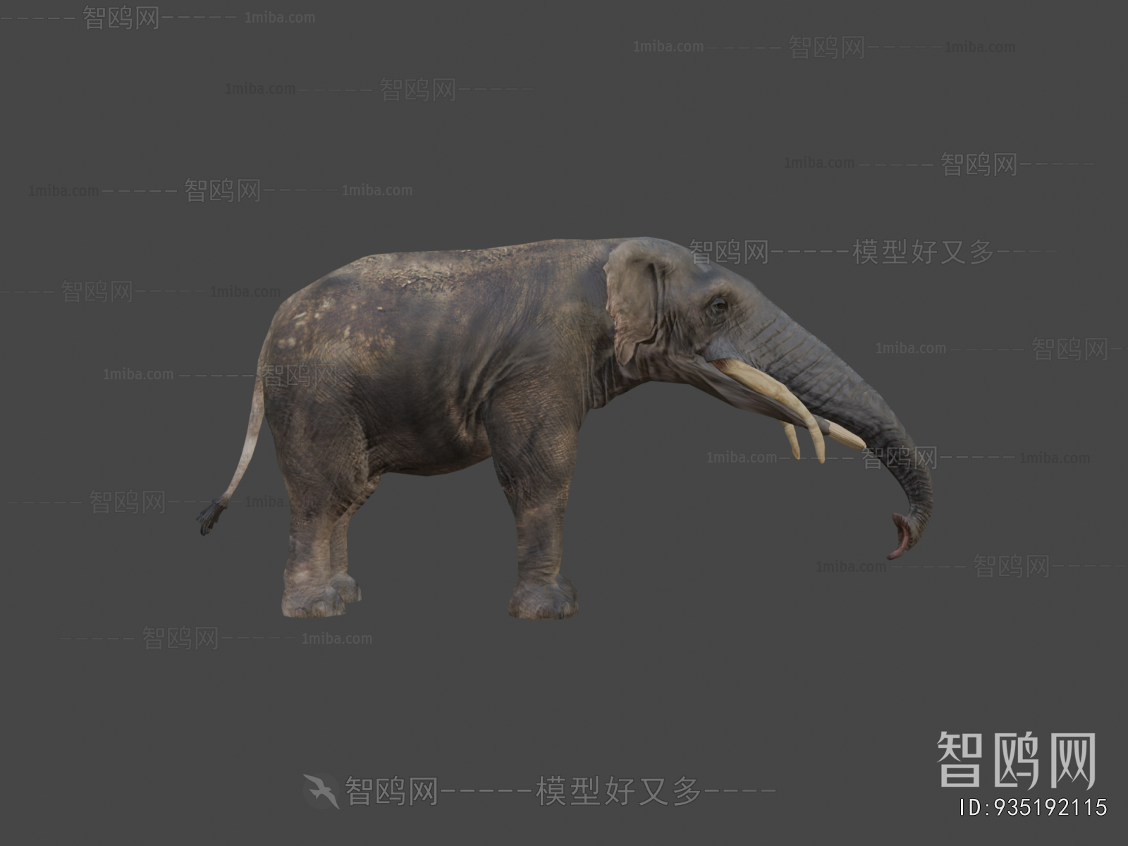 Modern Other Animals