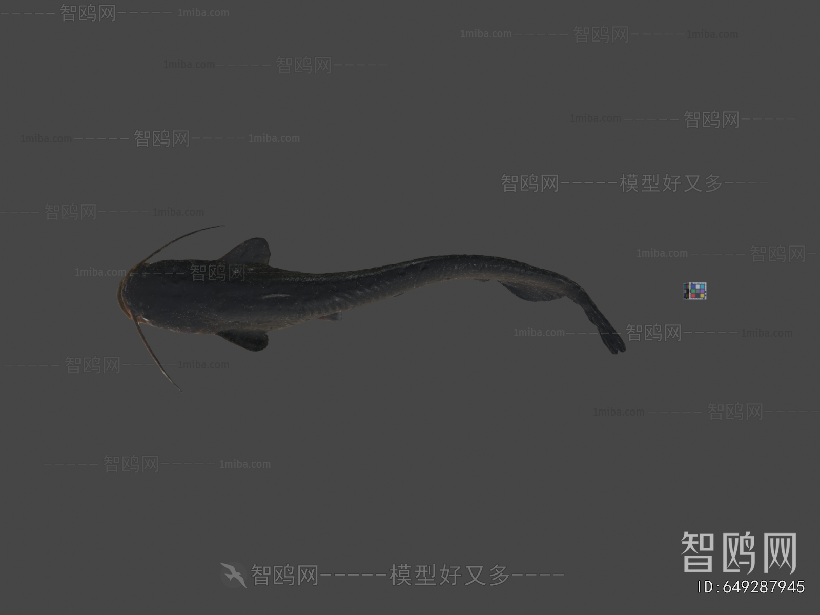 Modern Aquatic Animals