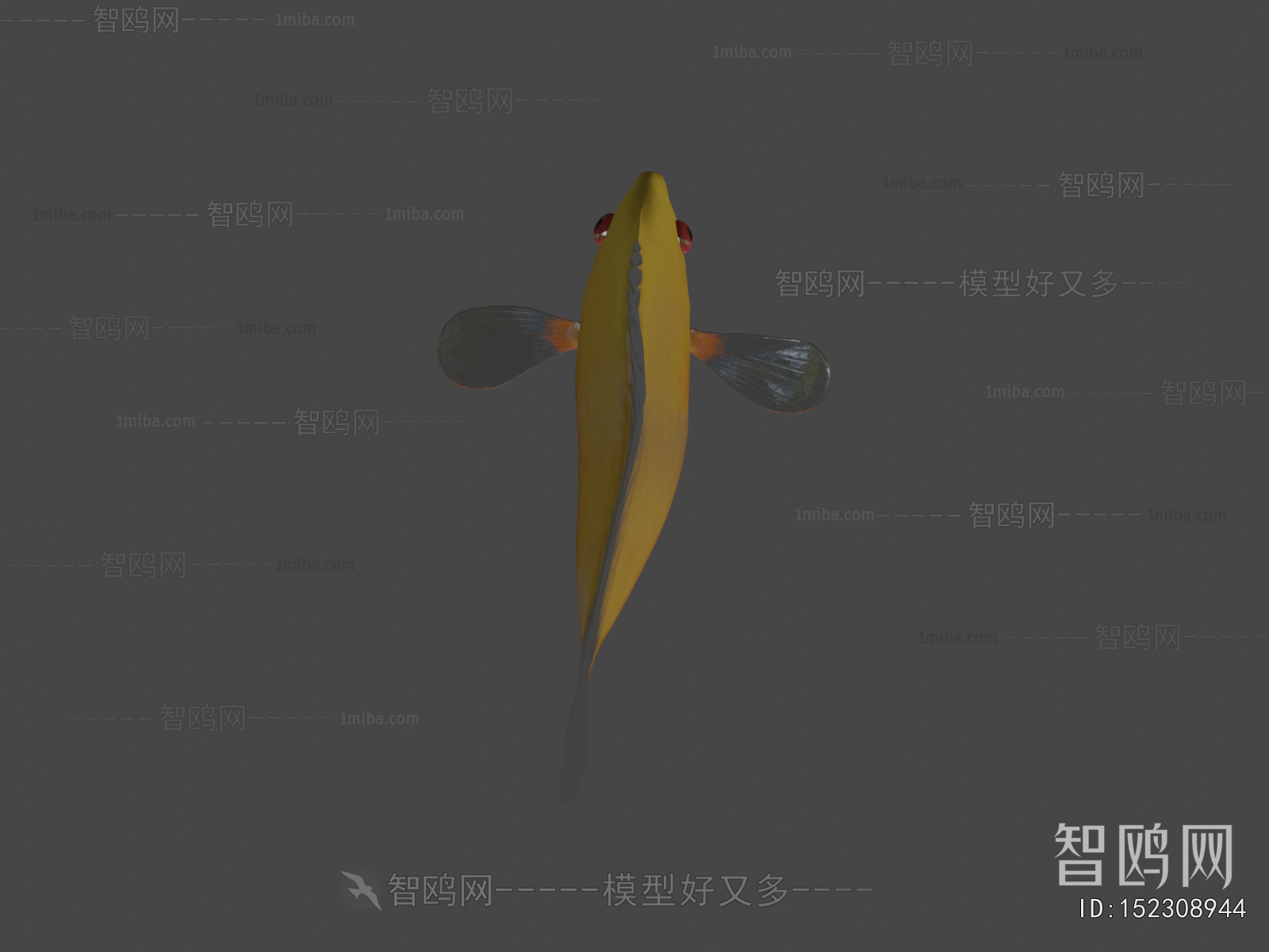 Modern Aquatic Animals