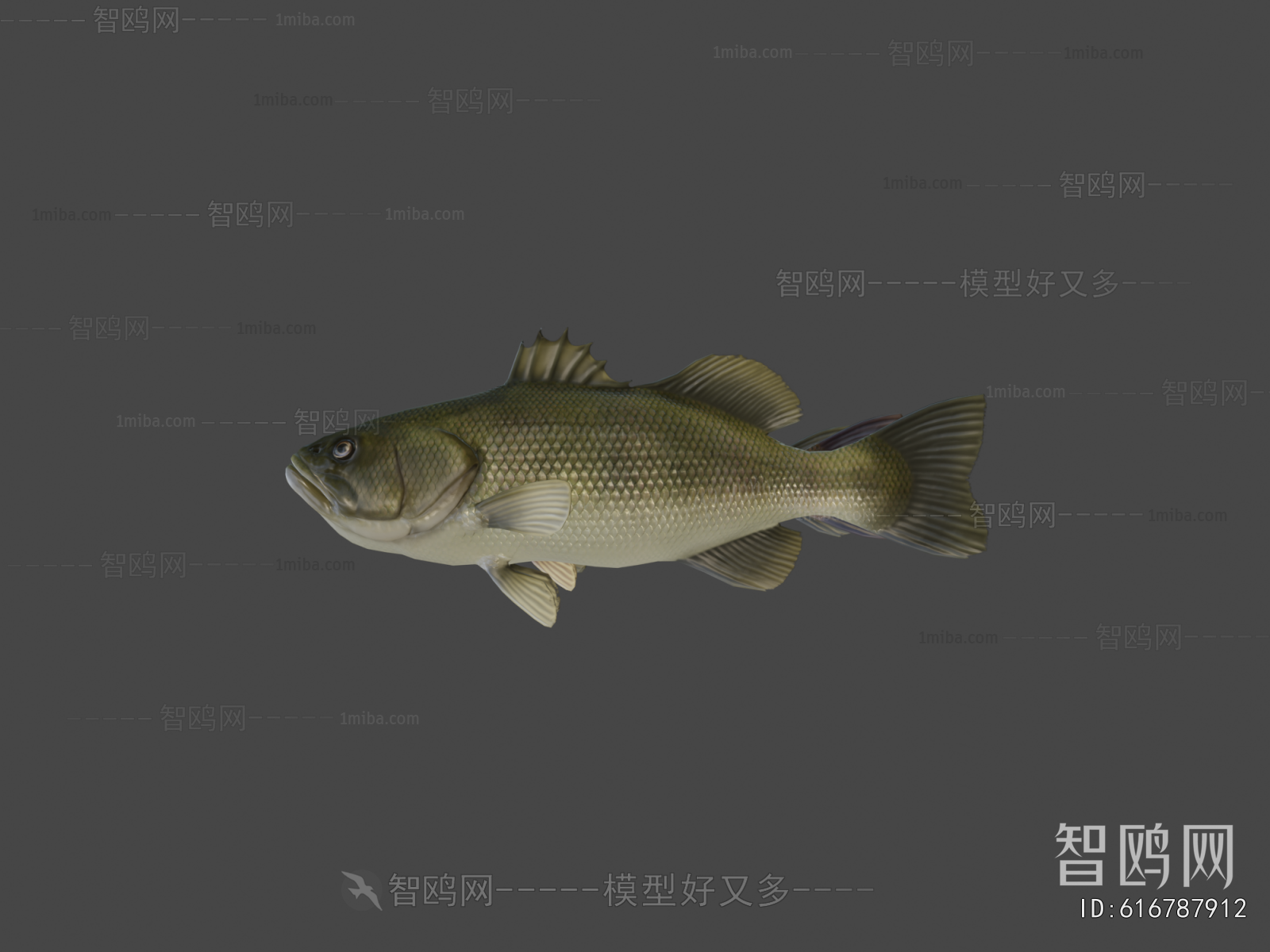 Modern Aquatic Animals